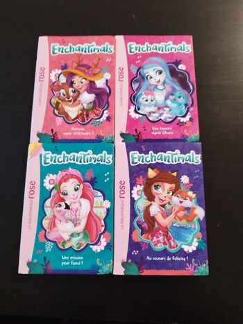Lot 4 livres Enchantimals