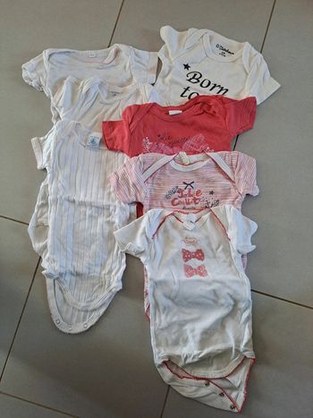 Bodies 6 mois