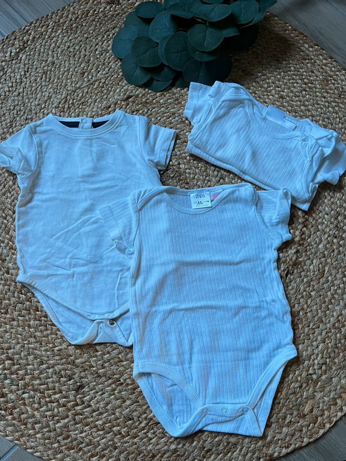 Lot body MC 6m