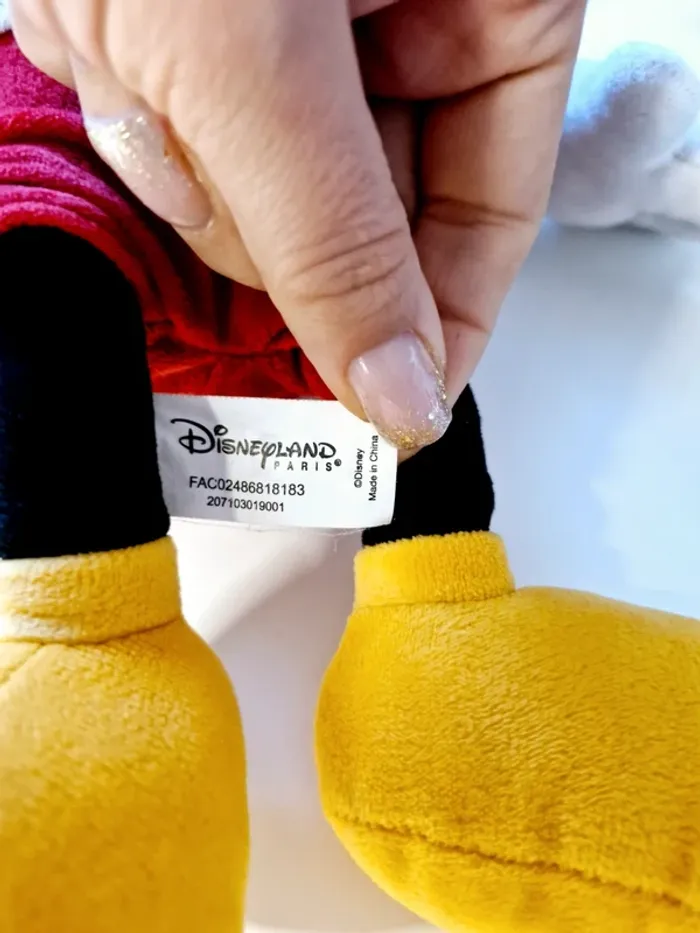 Mickey minnie - photo numéro 2