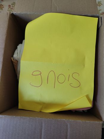 Lot 9 mois