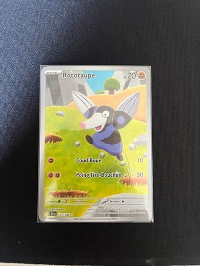 LOT DE 12 AR EV10.5 - photo numéro 6