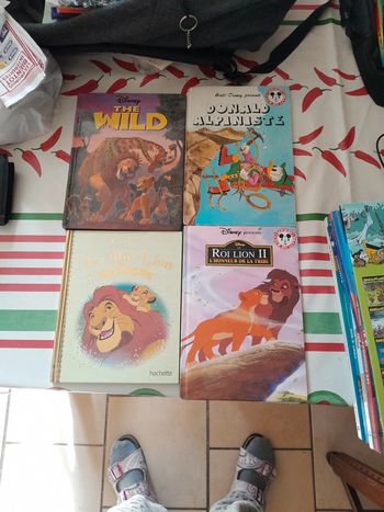 Lot livre disney