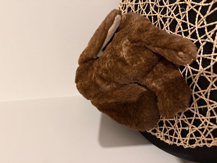 doudou chiot marron bukowski - photo numéro 5