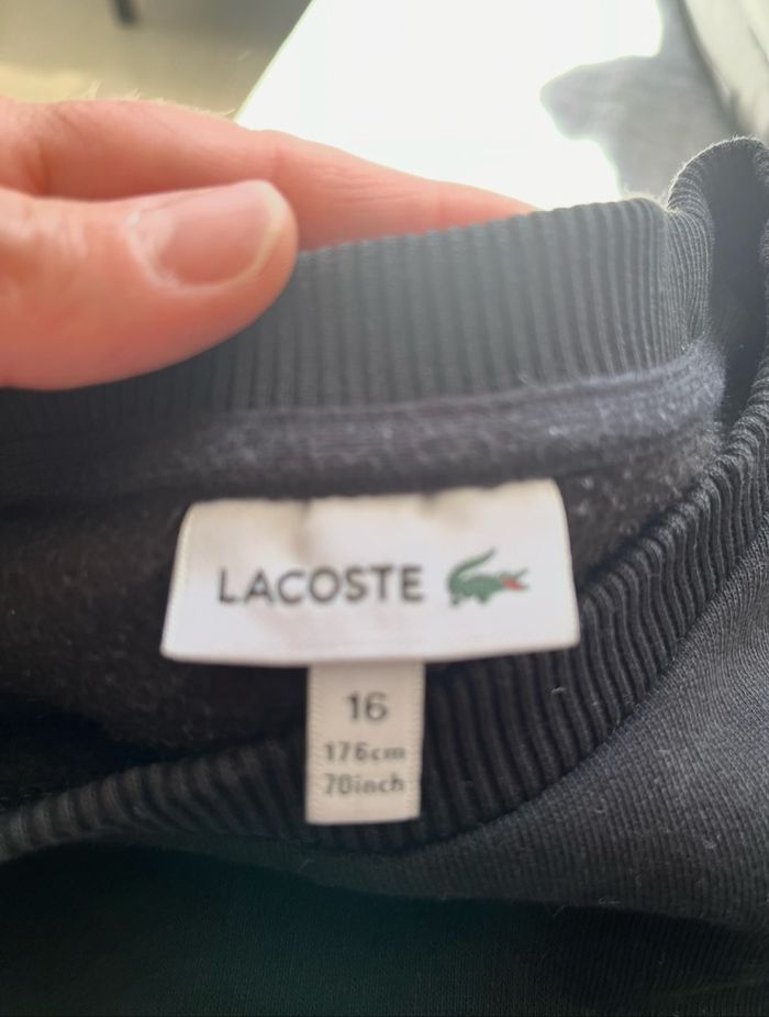 Sweat Lacoste - photo numéro 3