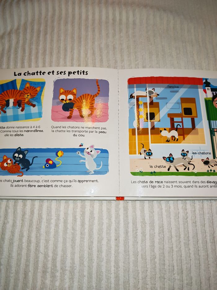 Livre les chats ma baby encyclopédie Larousse - photo numéro 5