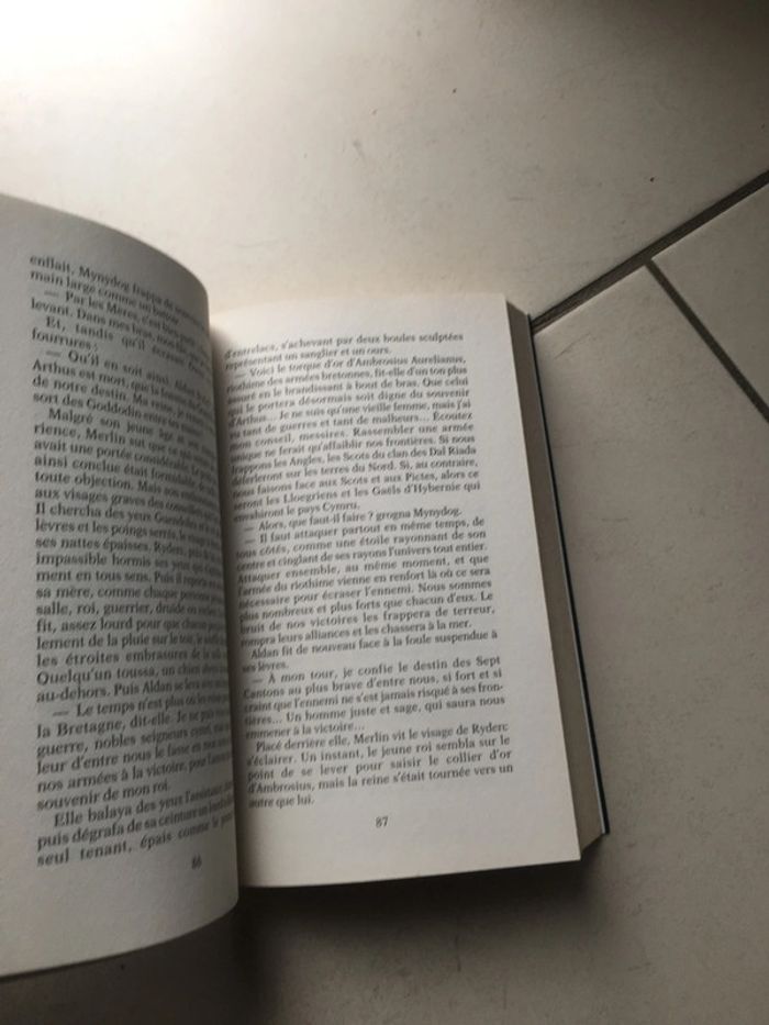 Livre Broché Le pas de Merlin Tome 1 - photo numéro 10