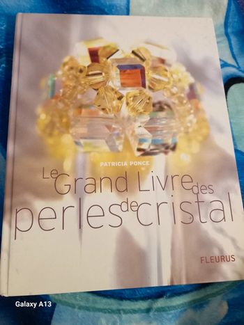 Le grand livre des perles de cristal