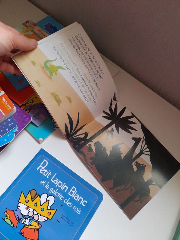 Lot de 6 livres enfants - photo numéro 12