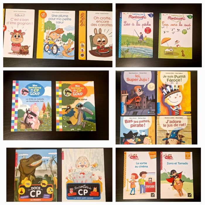 Lot de 15 livres - Niveau CP