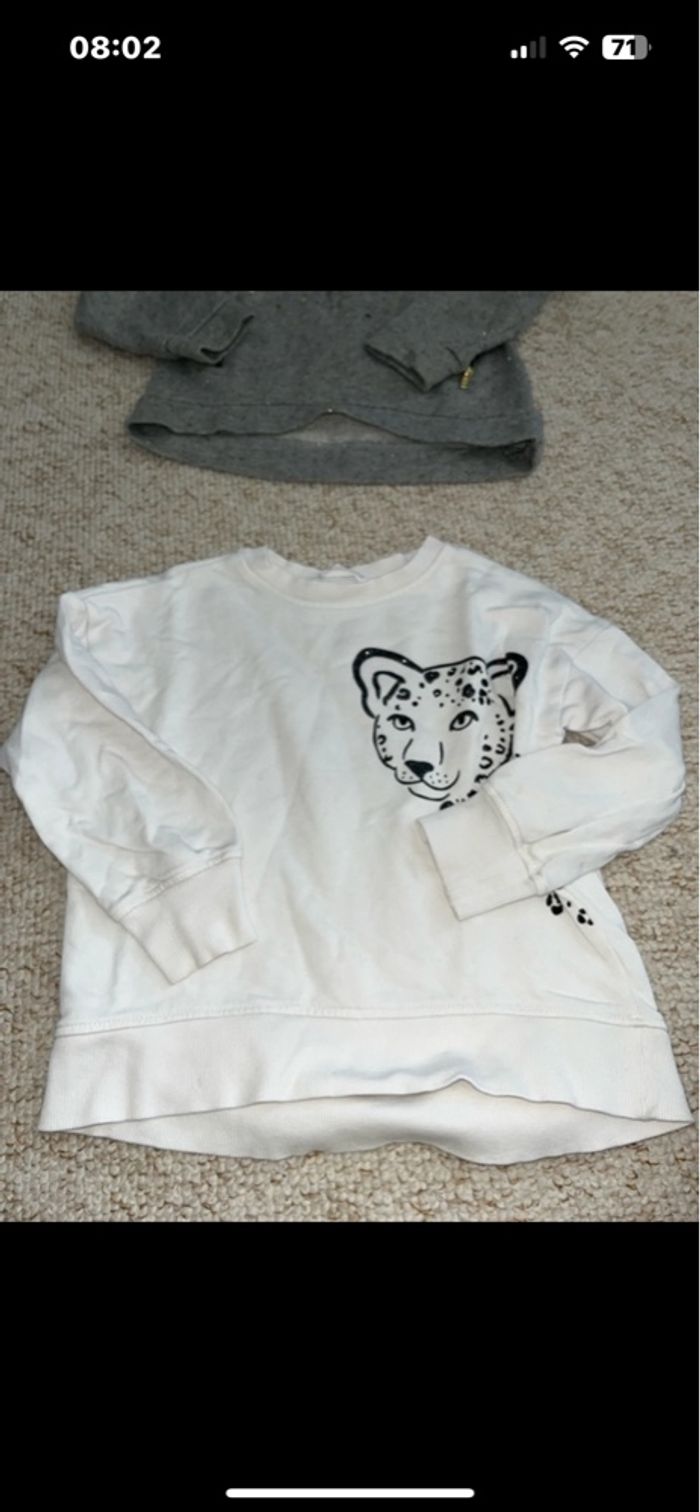 Pulls fille - photo numéro 8