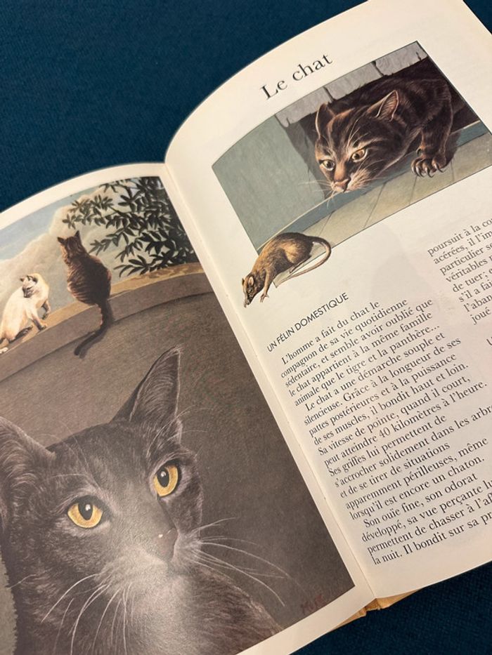 Beau livre vintage Animaux des maisons et des jardins Cemea Hachette Jeunesse documents nature - photo numéro 8