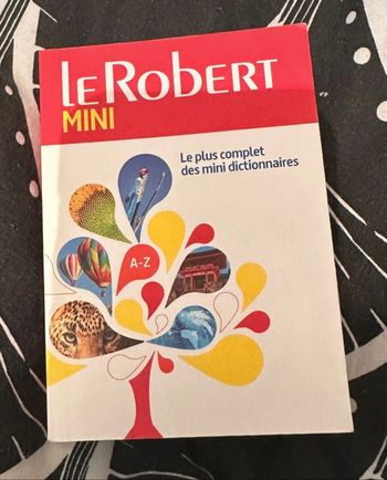 Mini dictionnaire français