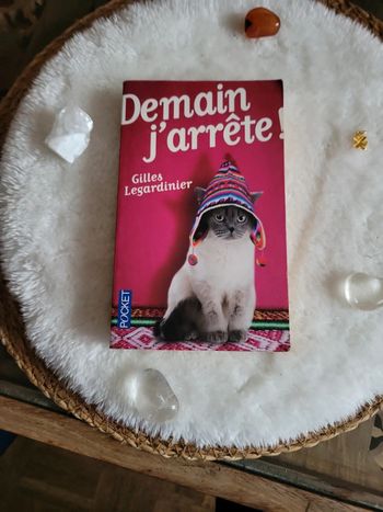 Demain j arrête ! Gilles Legardinier