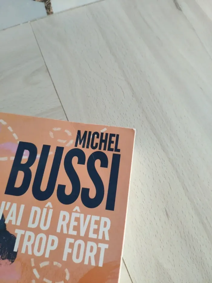 Livre grand format J'ai dû rêver trop fort Bussi - photo numéro 8