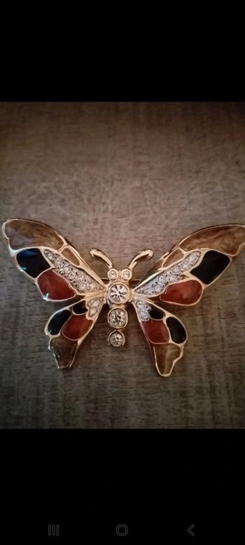 Broche Papillion