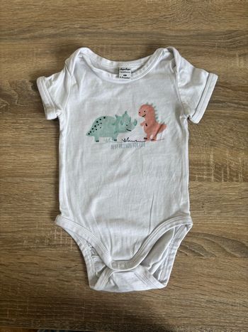 Bodie dinosaures
