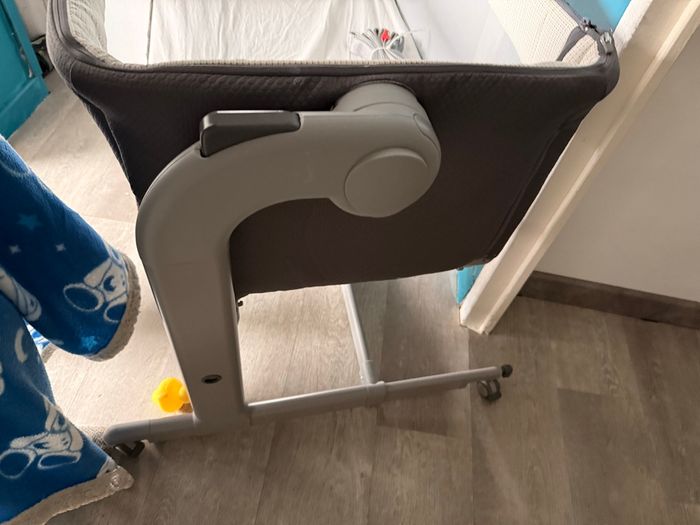 Cododo chicco - photo numéro 7