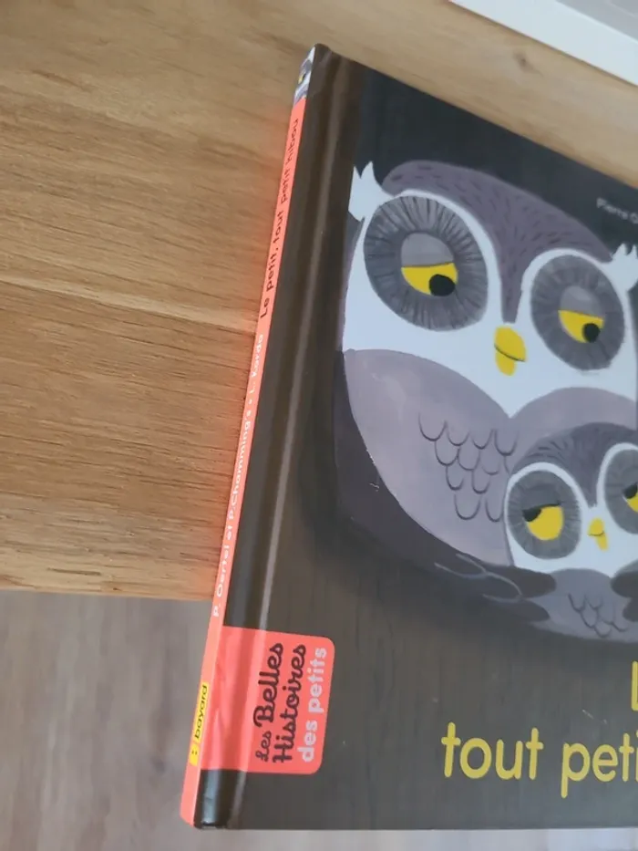 Le petit tout petit hibou - photo numéro 2