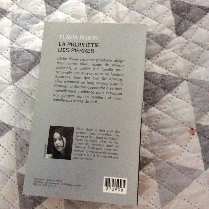 #La prophétie des pierres Flavia Bujor - photo numéro 4