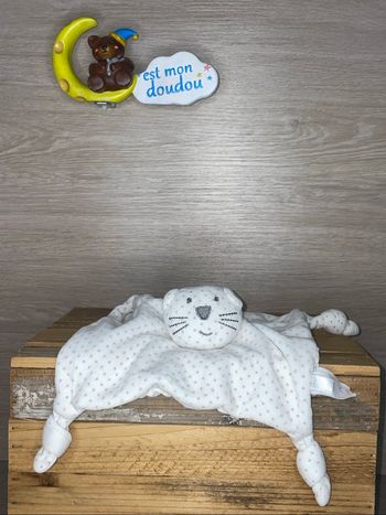 BC37 doudou chat 🐱 boutchou