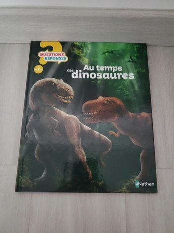 Livre au temps des dinosaures Questions Réponses