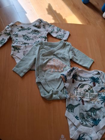 Lot bodies dinosaure 