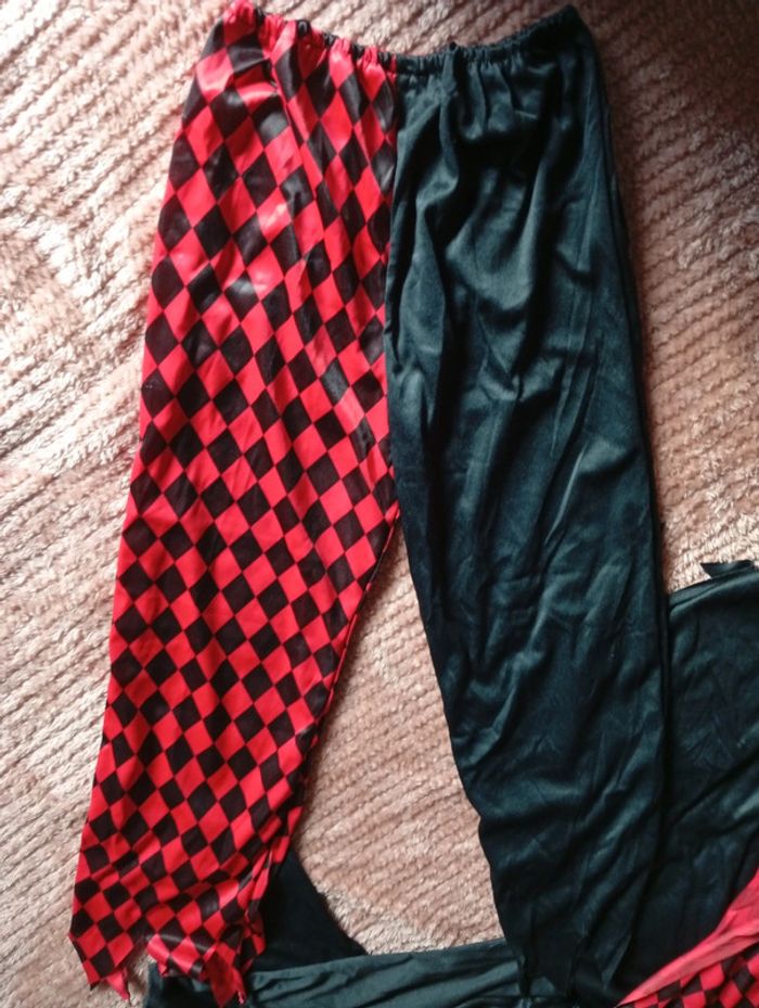 Déguisement arlequin - photo numéro 4