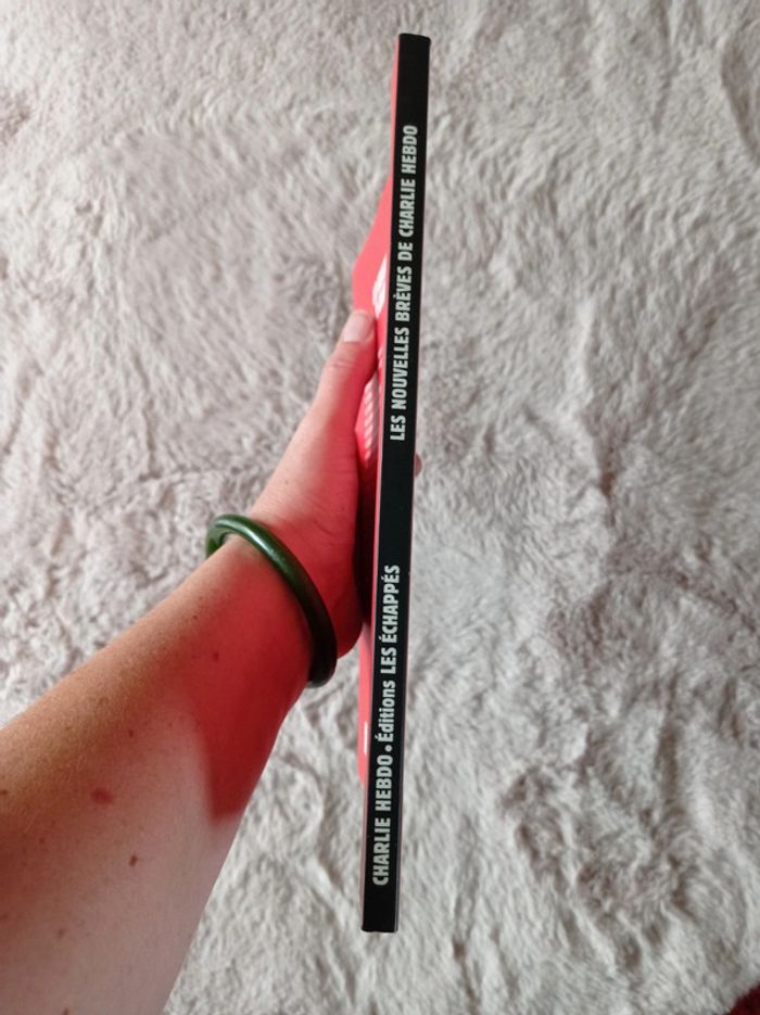 Les nouvelles brèves de Charlie Hebdo - photo numéro 4