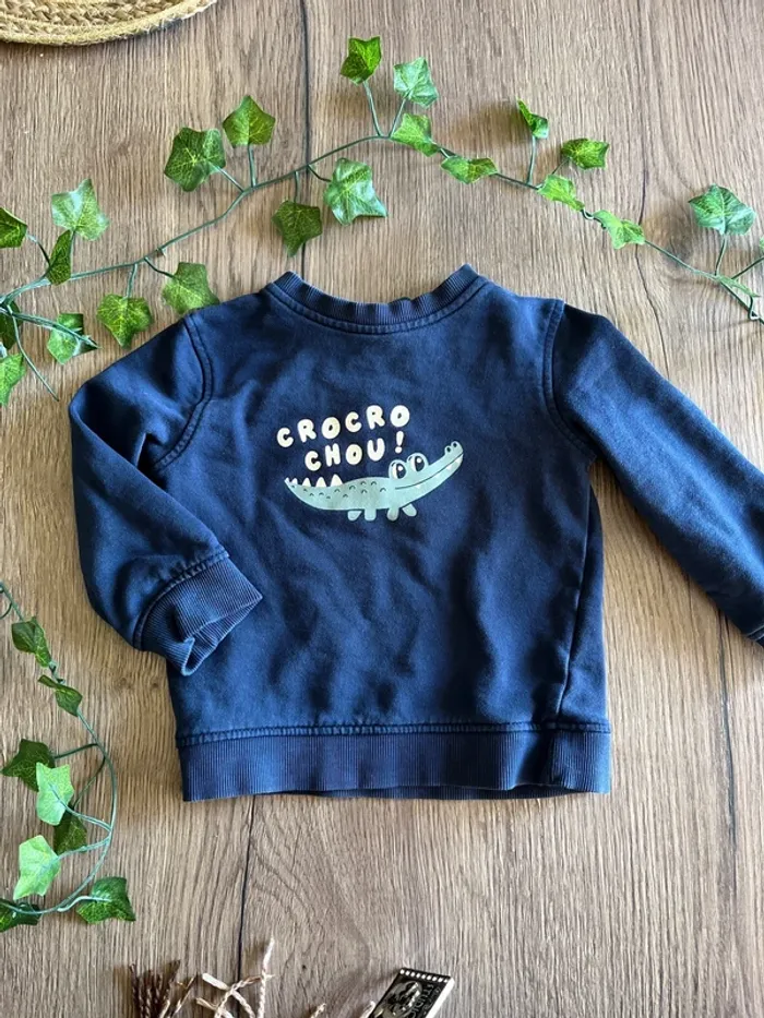 Pull crocodile