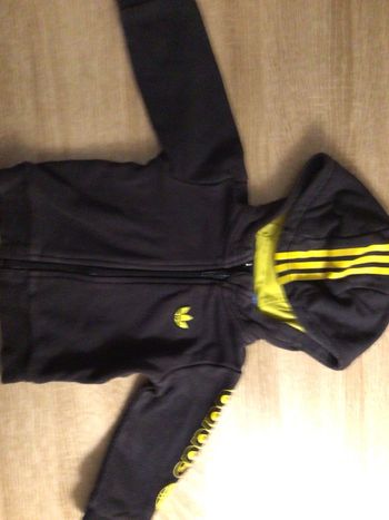 Veste Adidas