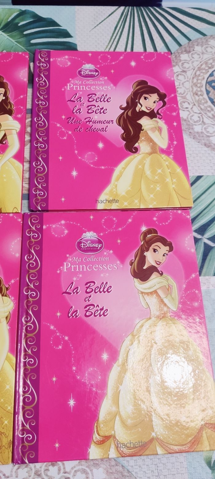 Livres la belle et la bête - photo numéro 3