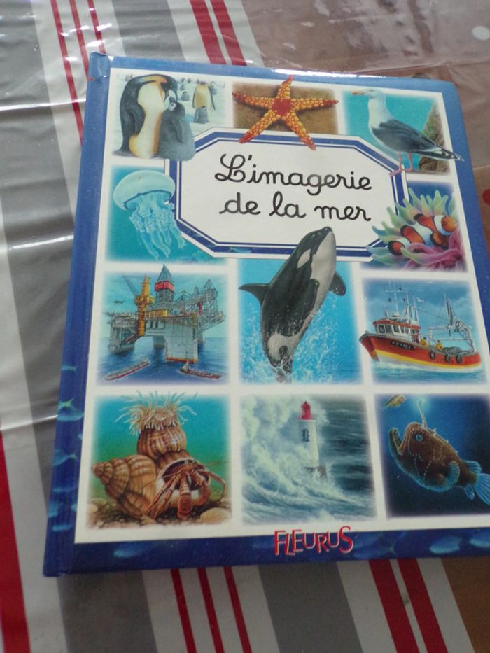Livre L'imagerie de la mer  Fleurus
