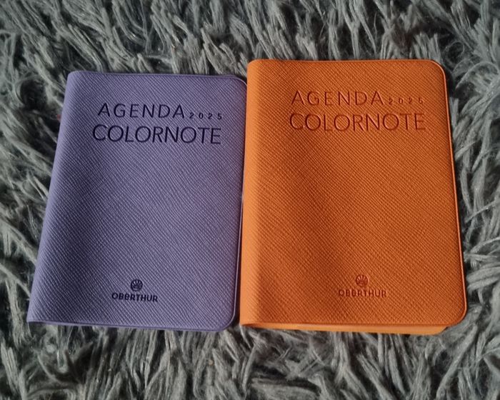 Lot 2 petits protèges agenda
