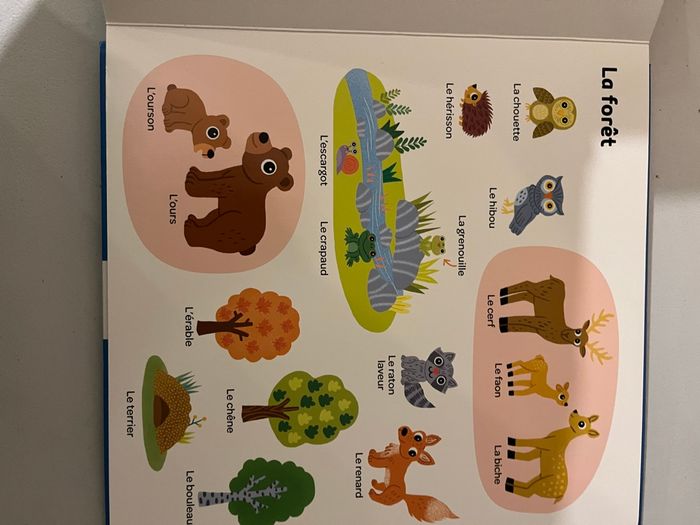 Mes 500 tout premiers mots - photo numéro 9