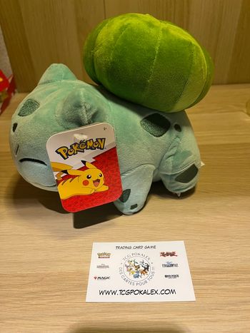 Pokémon - Starter de Démarrage - Peluche Bulbizarre 20cm