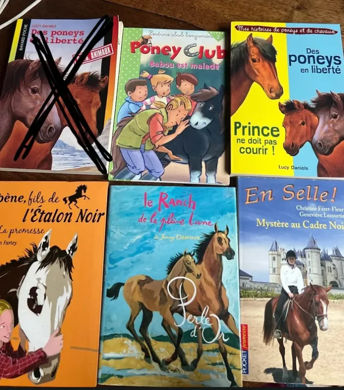 Lot livre sur les chevaux et poney