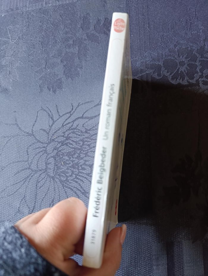 Un roman français de Frédéric Beigbeder - photo numéro 2