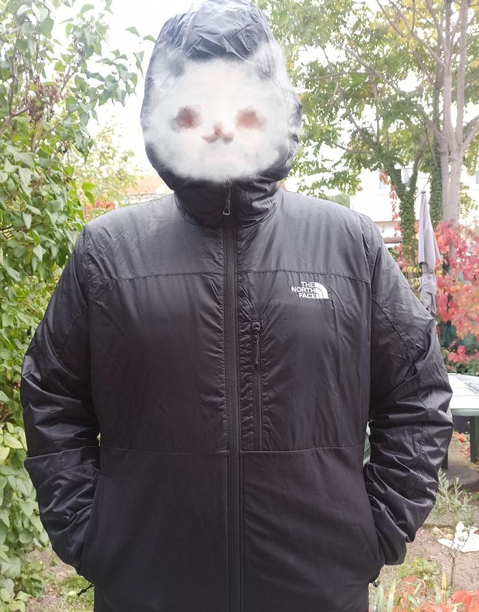Veste a capuche/blouson the North face - photo numéro 5