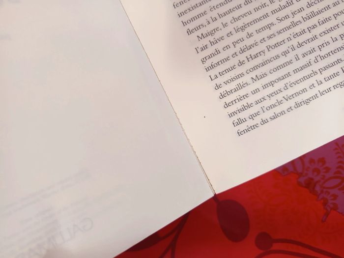 Harry Potter et l'ordre du Phénix - photo numéro 8