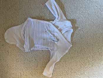 Body