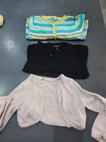 Lot vestes et pull 2 ans
