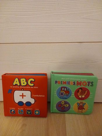Lot de deux livres enfants Mon petit Dictionnaire