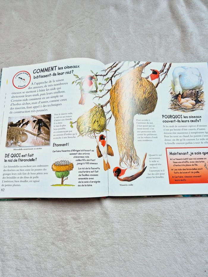 Livre les animaux en 250 questions réponses - photo numéro 3
