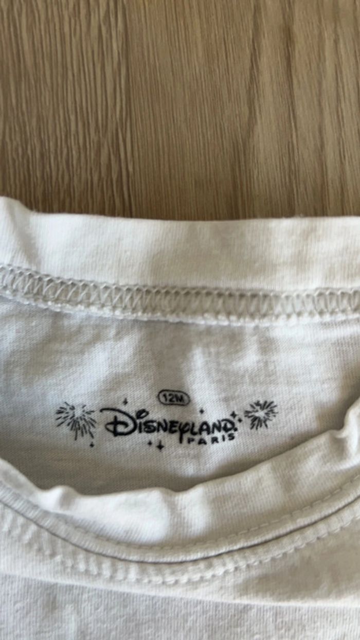 Tee shirt Disneyland Paris en 12 mois - photo numéro 2