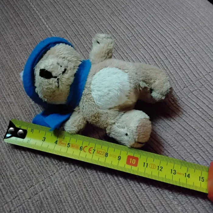 Mini ours - photo numéro 5