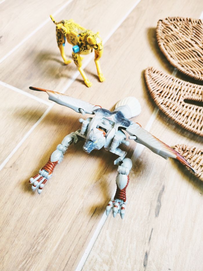 đ Robots transformers beast wars GuĂ©pard et aigle kingdom war for cybertron - photo numĂ©ro 2