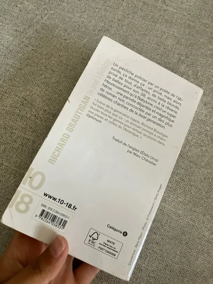 Un privé à Babylone – Richard Brautigan – Édition 10/18 - photo numéro 3