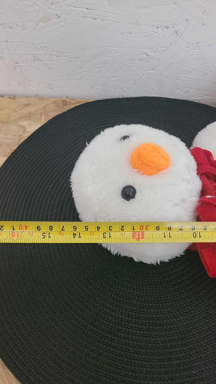 bonhomme de neige - photo numéro 3