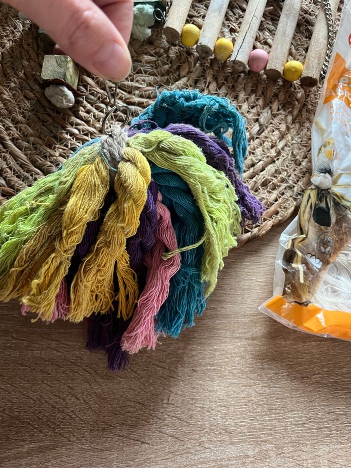 Lot pour oiseaux - photo numéro 6